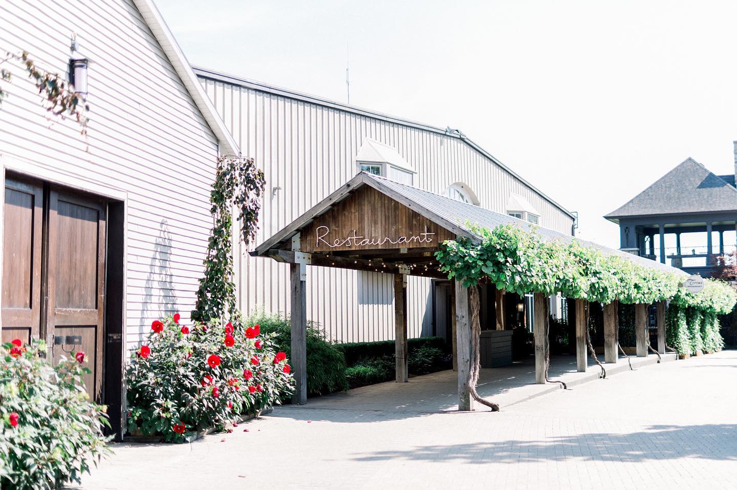 Trius Winery Restaurant photo 5